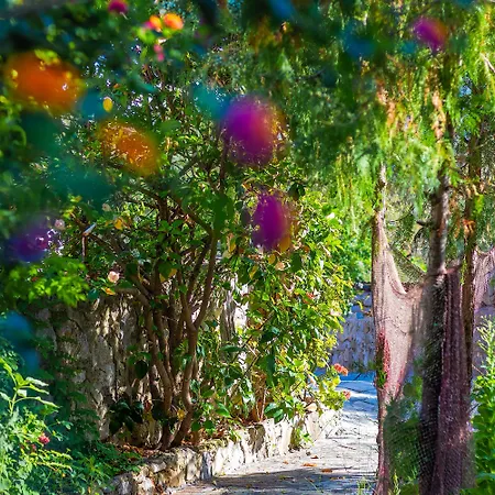 Otel Hanim Pinar Butik *