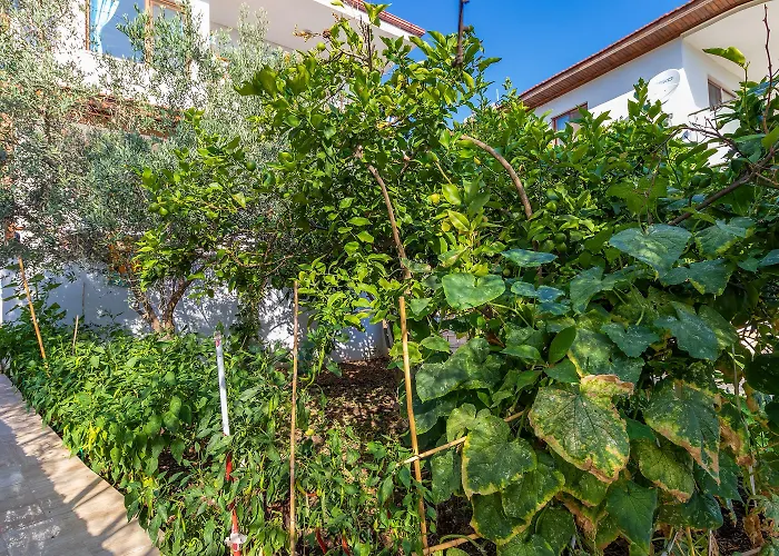 Hanim Pinar Butik Hotell *